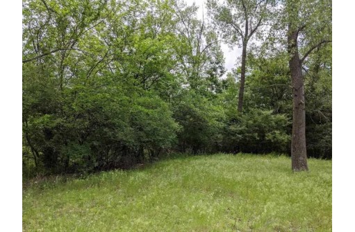 25.51 AC County Road A, Wisconsin Dells, WI 53965