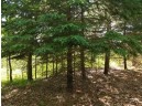 25.51 AC County Road A, Wisconsin Dells, WI 53965