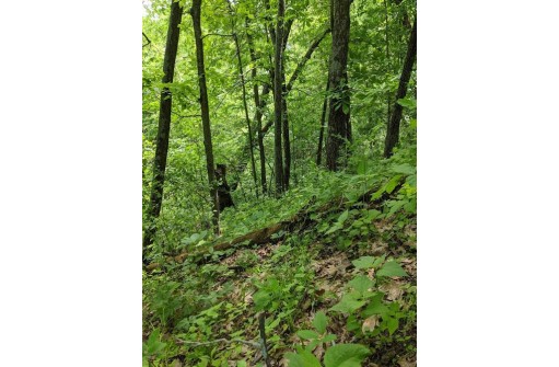 25.51 AC County Road A, Wisconsin Dells, WI 53965