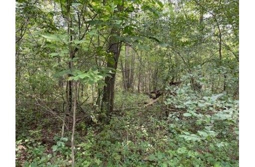 25.51 AC County Road A, Wisconsin Dells, WI 53965