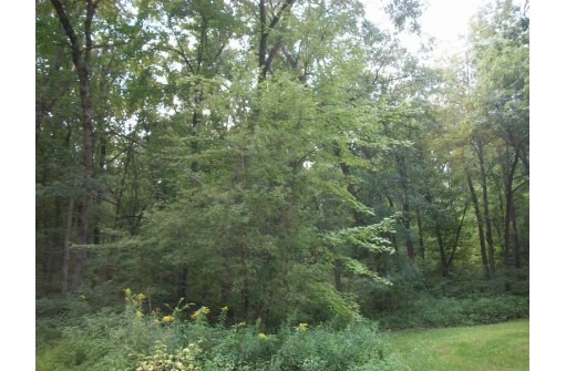 17.59 AC Raedel Ln, Wisconsin Dells, WI 53965