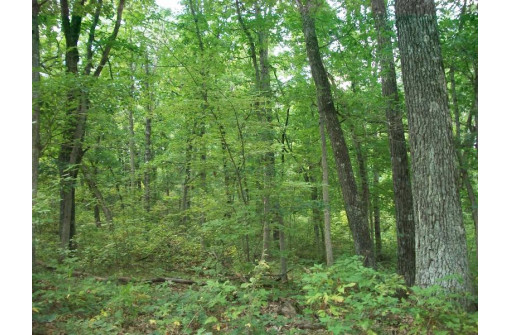 17.59 AC Raedel Ln, Wisconsin Dells, WI 53965