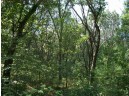 17.59 AC Raedel Ln, Wisconsin Dells, WI 53965