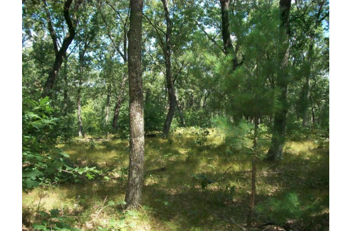 17.59 AC Raedel Ln, Wisconsin Dells, WI 53965