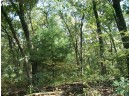 17.59 AC Raedel Ln, Wisconsin Dells, WI 53965