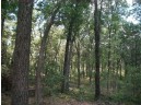 17.59 AC Raedel Ln, Wisconsin Dells, WI 53965