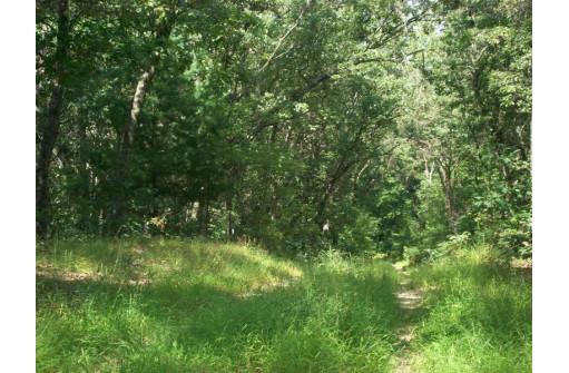 17.59 AC Raedel Ln, Wisconsin Dells, WI 53965