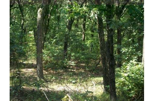 17.59 AC Raedel Ln, Wisconsin Dells, WI 53965