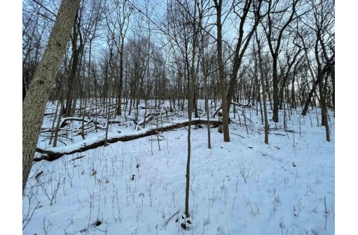 15.5 AC E County Road K, Lodi, WI 53555