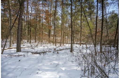 LOT 119 Beach Dr, New Lisbon, WI 53950