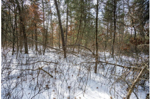 LOT 119 Beach Dr, New Lisbon, WI 53950