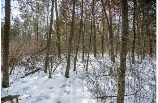 LOT 119 Beach Dr, New Lisbon, WI 53950