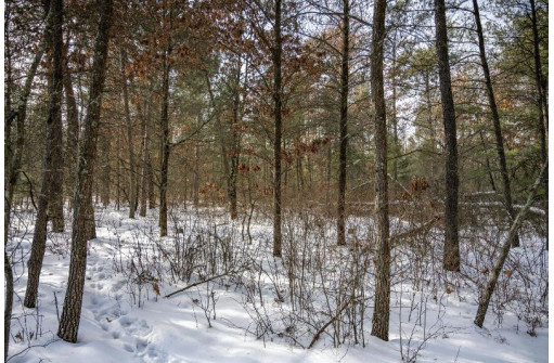 LOT 119 Beach Dr, New Lisbon, WI 53950