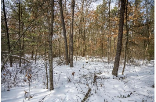 LOT 119 Beach Dr, New Lisbon, WI 53950