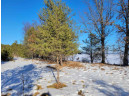 N13736 Halls Point Rd, Necedah, WI 54646