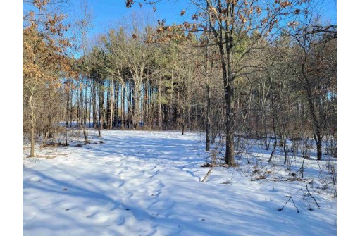 N13736 Halls Point Rd, Necedah, WI 54646