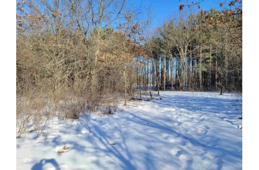 N13736 Halls Point Rd, Necedah, WI 54646