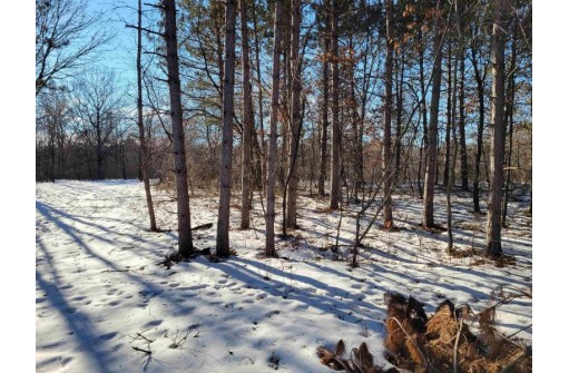 N13736 Halls Point Rd, Necedah, WI 54646