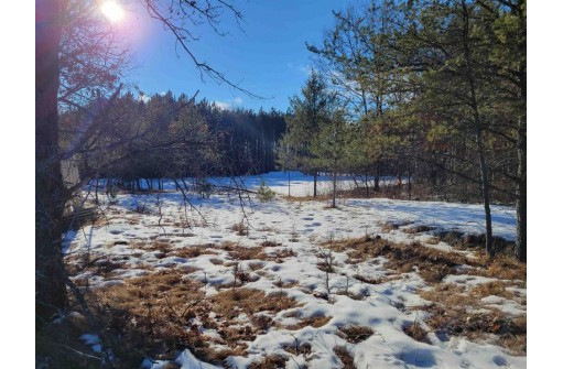 N13736 Halls Point Rd, Necedah, WI 54646