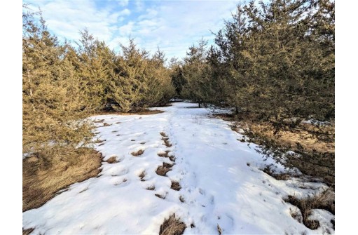 LOT 28 Cedar Cove Ln, Oxford, WI 53952