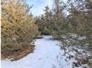 LOT 28 Cedar Cove Ln, Oxford, WI 53952