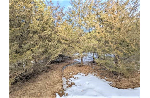 LOT 28 Cedar Cove Ln, Oxford, WI 53952