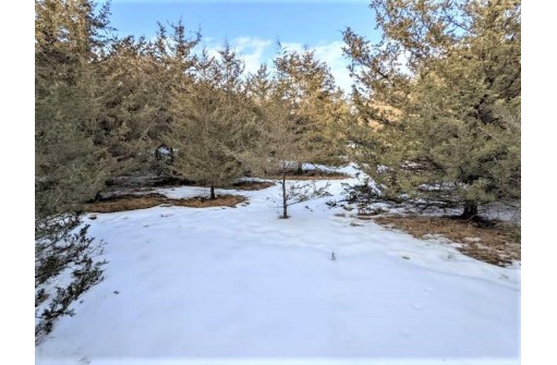 LOT 28 Cedar Cove Ln, Oxford, WI 53952