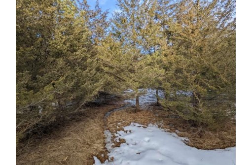 LOT 28 Cedar Cove Ln, Oxford, WI 53952