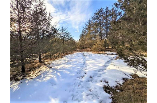 LOT 28 Cedar Cove Ln, Oxford, WI 53952