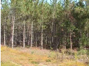 LOT 52 Grand View Tr, Nekoosa, WI 54457