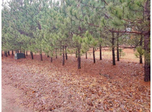 LOT4 Partridge Dr Reedsburg, WI 53959