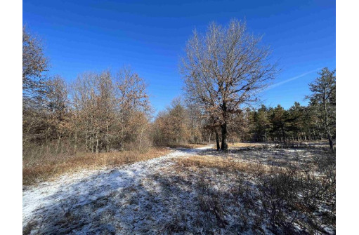 23.5+/- ACRES W 6th Dr, Hancock, WI 54943