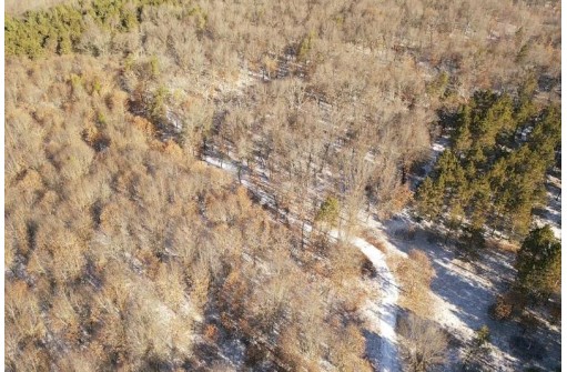 23.5+/- ACRES W 6th Dr, Hancock, WI 54943