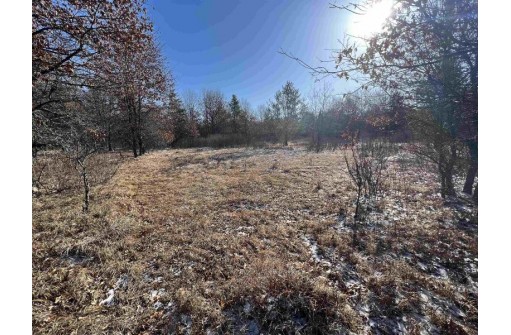 23.5+/- ACRES W 6th Dr, Hancock, WI 54943