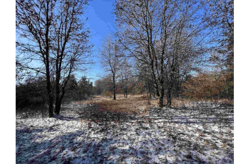 23.5+/- ACRES W 6th Dr, Hancock, WI 54943