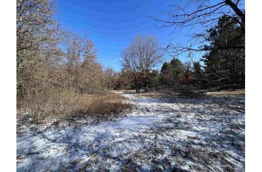 23.5+/- ACRES W 6th Dr, Hancock, WI 54943