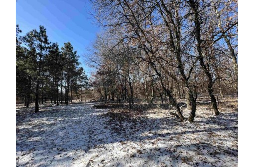 23.5+/- ACRES W 6th Dr, Hancock, WI 54943