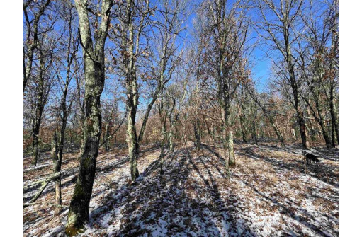 23.5+/- ACRES W 6th Dr, Hancock, WI 54943