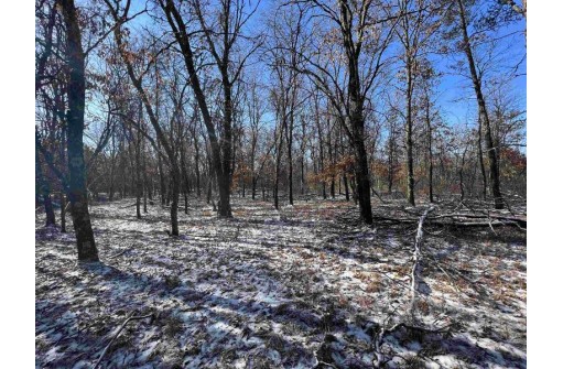 23.5+/- ACRES W 6th Dr, Hancock, WI 54943