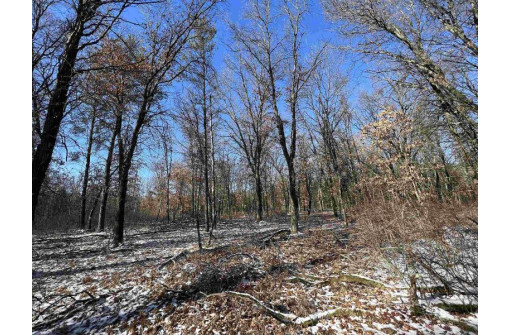 23.5+/- ACRES W 6th Dr, Hancock, WI 54943