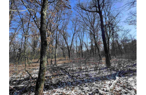 23.5+/- ACRES W 6th Dr, Hancock, WI 54943