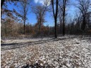 23.5+/- ACRES W 6th Dr, Hancock, WI 54943