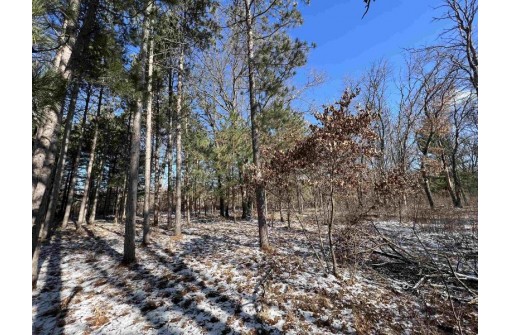 23.5+/- ACRES W 6th Dr, Hancock, WI 54943