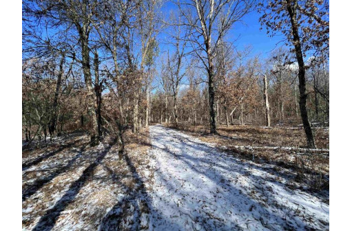 23.5+/- ACRES W 6th Dr, Hancock, WI 54943