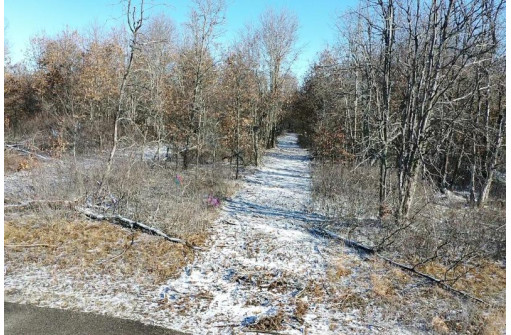 23.5+/- ACRES W 6th Dr, Hancock, WI 54943