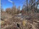 23.5+/- ACRES W 6th Dr, Hancock, WI 54943