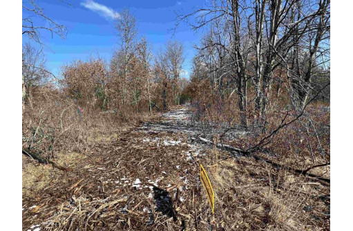 23.5+/- ACRES W 6th Dr, Hancock, WI 54943