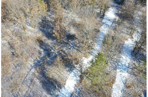 23.5+/- ACRES W 6th Dr, Hancock, WI 54943