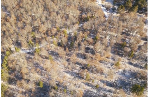 23.5+/- ACRES W 6th Dr, Hancock, WI 54943