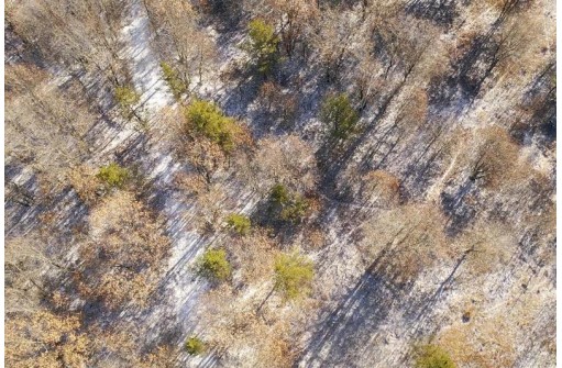 23.5+/- ACRES W 6th Dr, Hancock, WI 54943